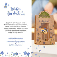 Trostspender – Echtes Vergissmeinnicht — Ansicht 3