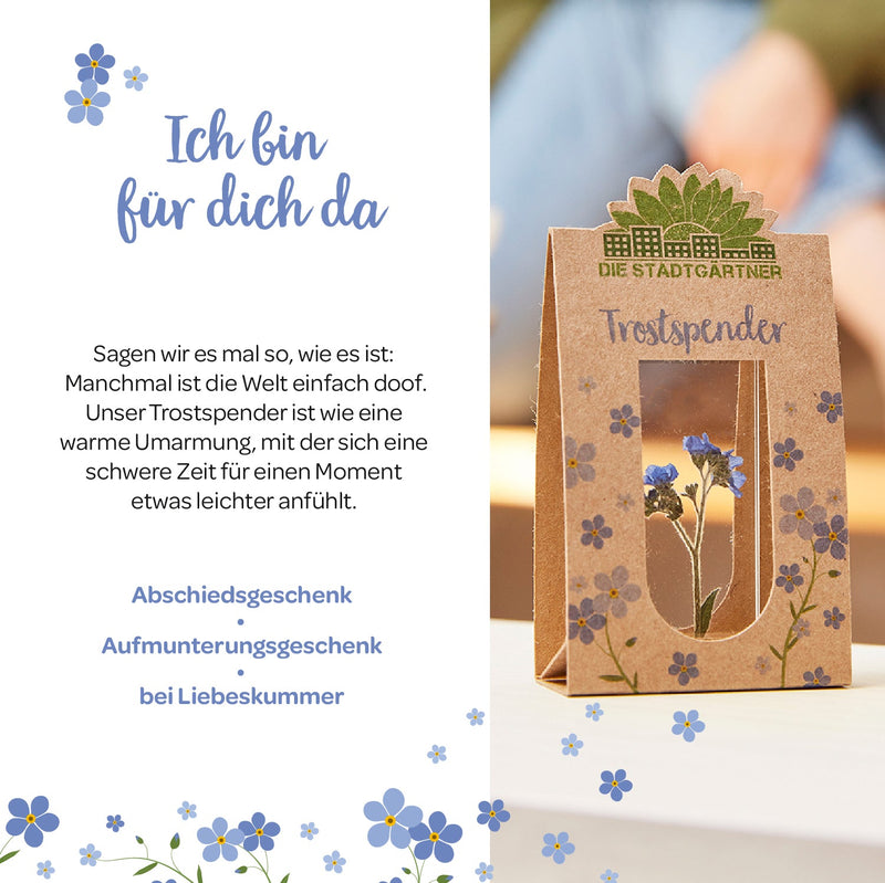 Trostspender – Echtes Vergissmeinnicht — Ansicht 3