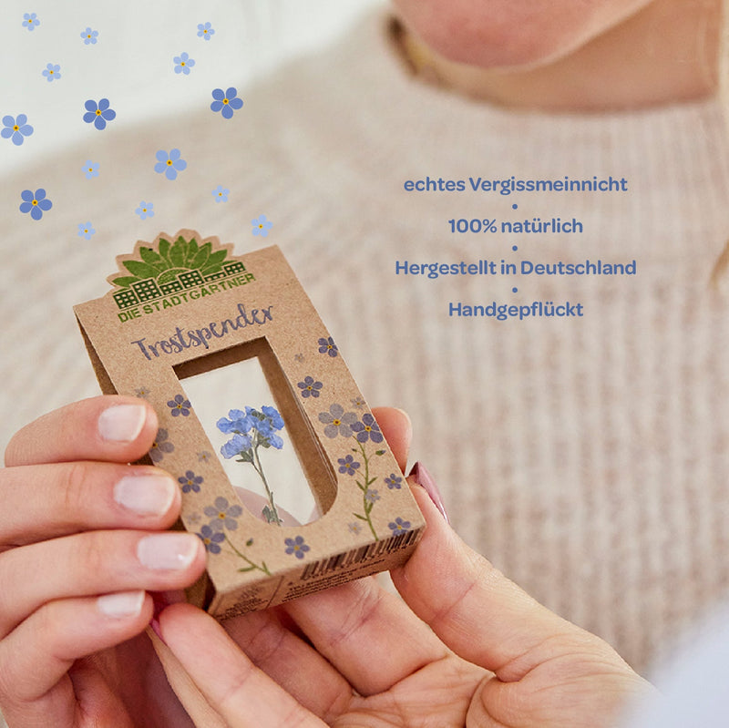 Trostspender – Echtes Vergissmeinnicht — Ansicht 8