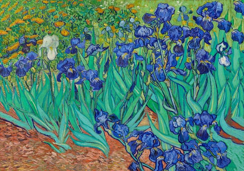 Irises by Van Gogh Art Poster – Kunstdruck auf Japanpapier — Ansicht 3