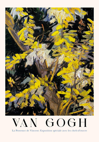 Blossoming Acacia Branches Exhibition Art Poster by Van Gogh – Fine Art Print | Post‑Impressionismus | Museum
