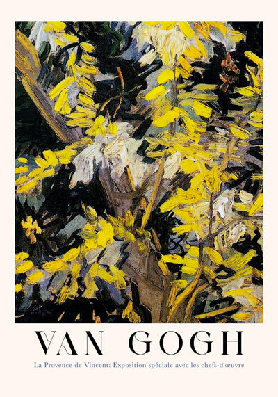 Blossoming Acacia Branches Exhibition Art Poster – Van Gogh Fine Art Print