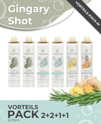 YOUCISION® Gingary Shot Value Pack 6x75ml Shower Foam Set — Ansicht 1