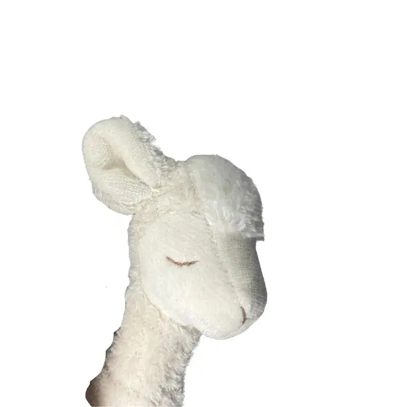 Wärmekissen Lama – Bio-Baumwolle & Dinkelspelz-Füllung — Ansicht 10