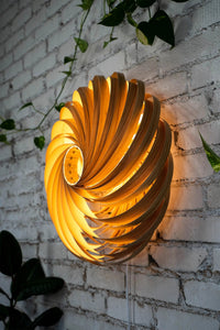 Veneria Wall Lamp – Handcrafted from Olive Ash, 60 cm | FSC-certified — Ansicht 4