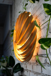 Veneria Wall Lamp – Handcrafted from Olive Ash, 60 cm | FSC-certified — Ansicht 5