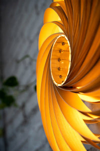 Veneria Wall Lamp – Handcrafted from Olive Ash, 60 cm | FSC-certified — Ansicht 6