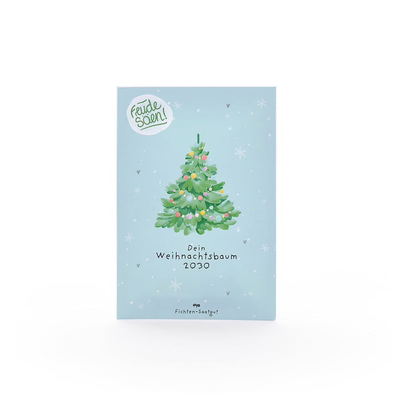 Spruce seeds "Christmas tree 2030" - Grow your own Christmas tree — Ansicht 2