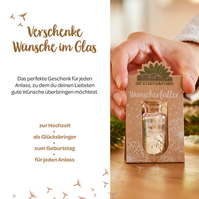 Wunscherfüller mittel – Pusteblumen im Glas