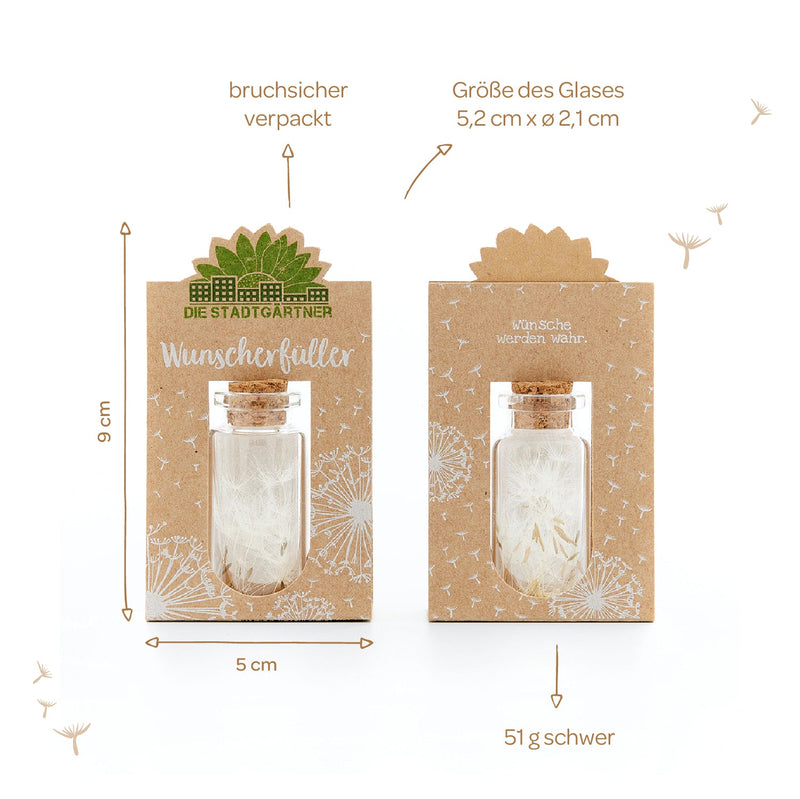Wunscherfüller mittel – Pusteblumen im Glas — Ansicht 7