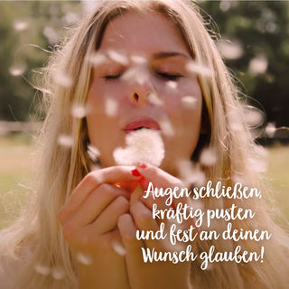 Wunscherfüller, mittel