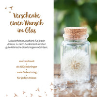 Großer Wunscherfüller – Pusteblume im Glas — Ansicht 5