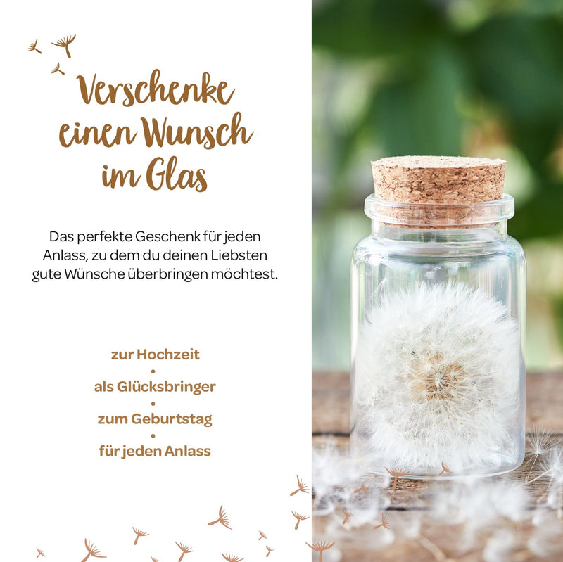 Großer Wunscherfüller – Pusteblume im Glas — Ansicht 5