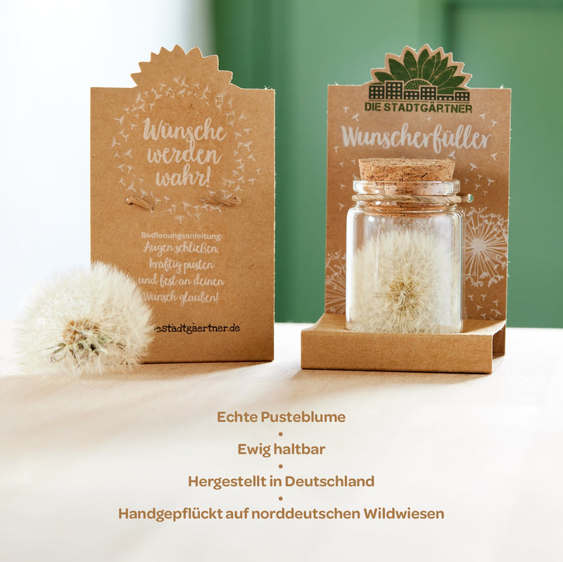 Großer Wunscherfüller – Pusteblume im Glas — Ansicht 3