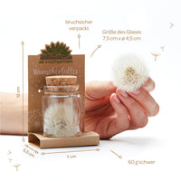 Großer Wunscherfüller – Pusteblume im Glas — Ansicht 4