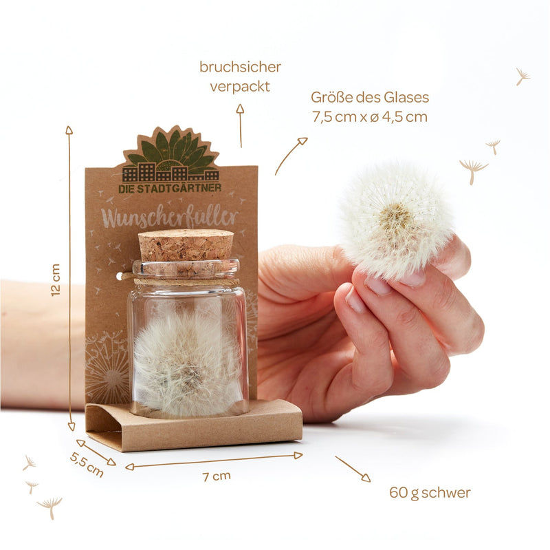 Großer Wunscherfüller – Pusteblume im Glas — Ansicht 4
