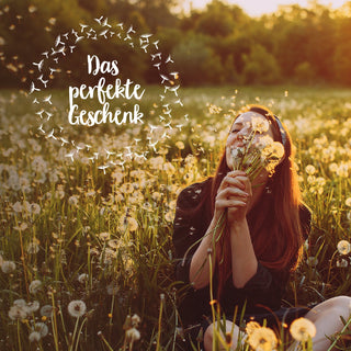 Großer Wunscherfüller – Pusteblume im Glas