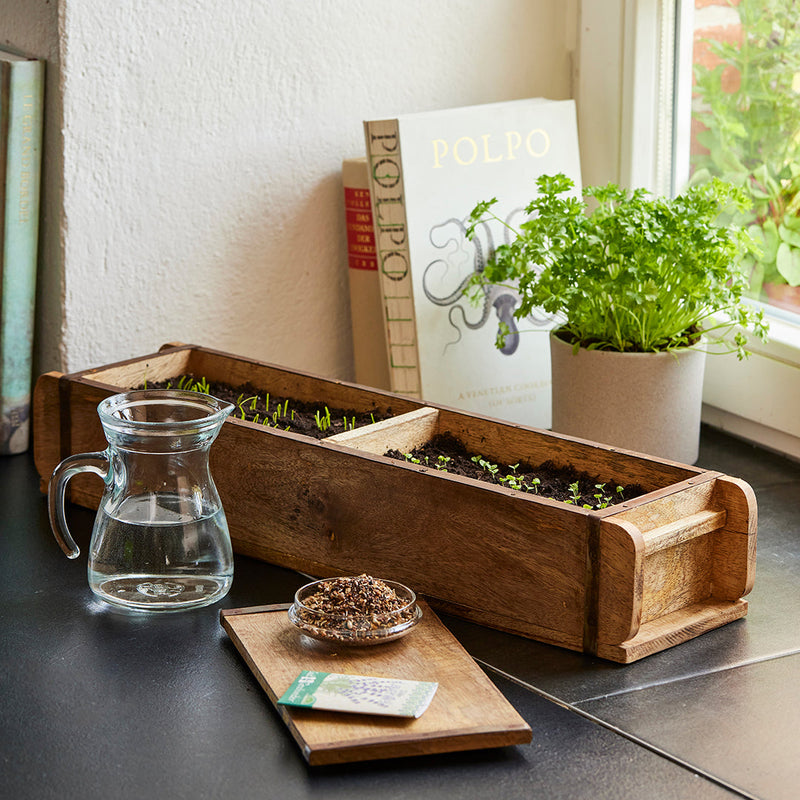 Long Brick Form with 2 Compartments – Wood, Handmade — Die Stadtgärtner