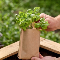 Organic Seed Starting Soil 600 g – Die Stadtgärtner — Ansicht 2