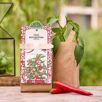 Mini Garden Organic Chili Grow Kit – highly germinable seeds & growing soil — Ansicht 1