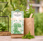 Cocktail Mint Seed Kit – All-in-one Seed Starting Kit