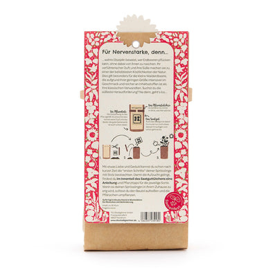 Mini Garden Strawberry Grow Kit – All-in-One Starter Kit