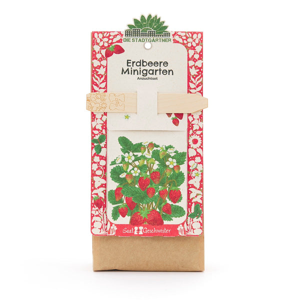 Mini Garden Strawberry Grow Kit – All-in-One Starter Kit