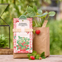 Mini Garden Strawberry Grow Kit – All-in-One Starter Kit — Ansicht 1