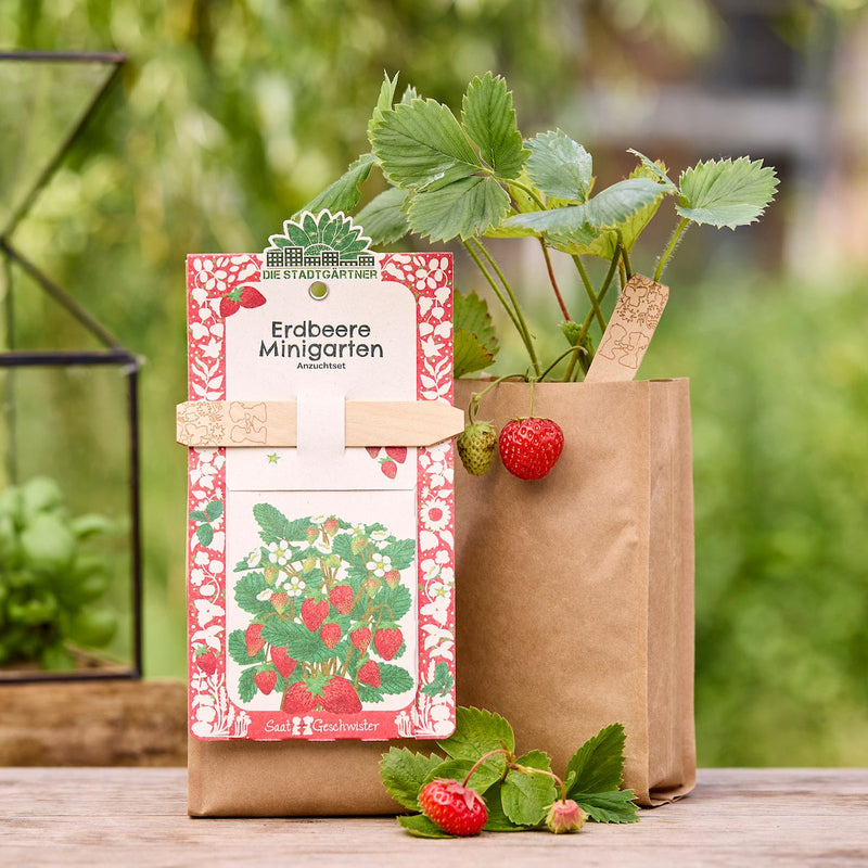 Mini Garden Strawberry Grow Kit – All-in-One Starter Kit — Die Stadtgärtner