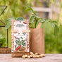 Peanut Mini-Garden Seed Starting Set – Die Stadtgärtner