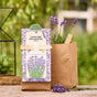 Mini Garden Organic Lavender Seed Kit – EU organic certified
