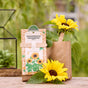 Organic Sunflower Mini Garden Seed Starting Kit – everything you need to get started