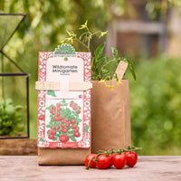 Seedling kit – Organic Wild Tomato Mini Garden — Ansicht 1