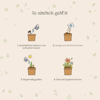 Blümchen aus dem Becher – Anzuchtset Frühlingsblumen — Ansicht 6