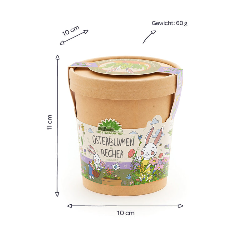 Blümchen aus dem Becher – Anzuchtset Frühlingsblumen — Ansicht 5
