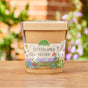 Blümchen aus dem Becher – Anzuchtset Frühlingsblumen