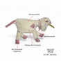 Organic Cuddly Toy Unicorn XXL – Millet Filling, Handmade