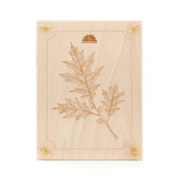 Leaf press for leaves & flowers – Beech wood 190×250 mm — Ansicht 2