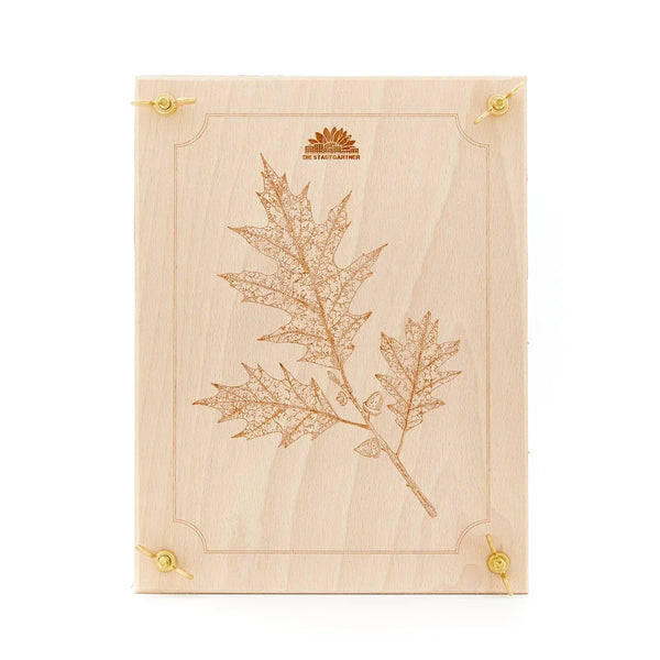Leaf press for leaves & flowers – Beech wood 190×250 mm