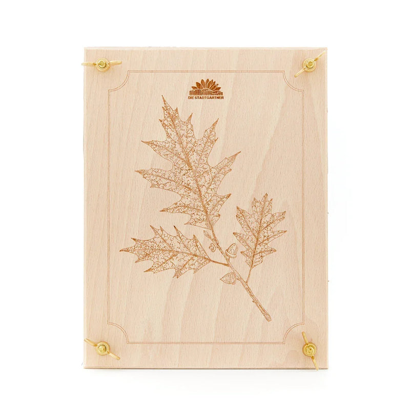 Leaf press for leaves & flowers – Beech wood 190×250 mm — Ansicht 2