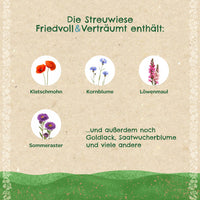 Streuwiese „Friedvoll & Verträumt“ – Wildblumenmischung mit Bodenverbesserer — Ansicht 3