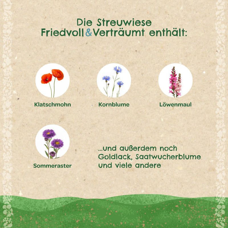 Streuwiese „Friedvoll & Verträumt“ – Wildblumenmischung mit Bodenverbesserer — Ansicht 3