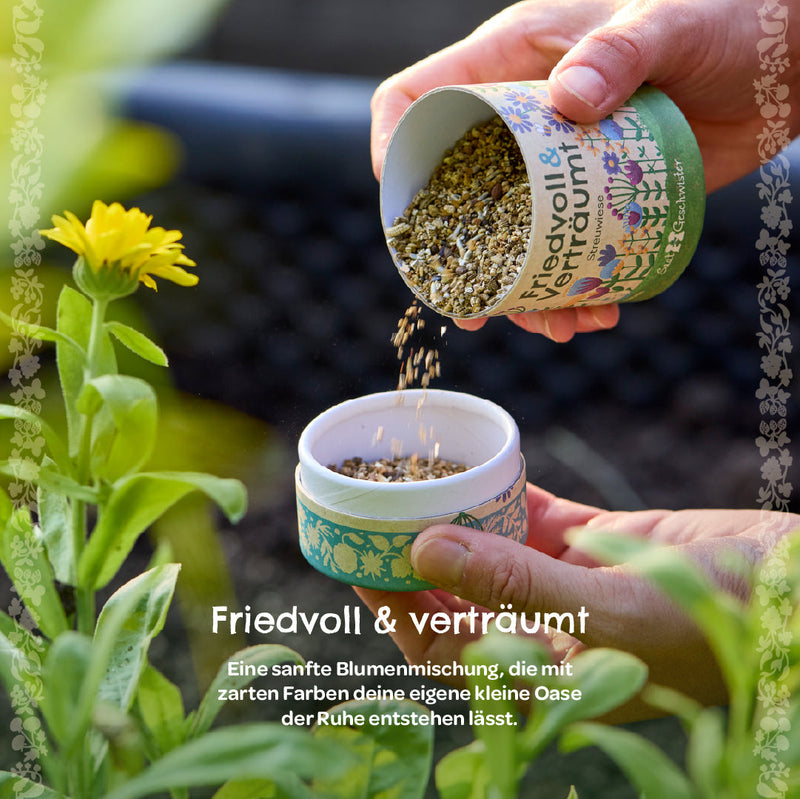 Streuwiese „Friedvoll & Verträumt“ – Wildblumenmischung mit Bodenverbesserer — Ansicht 6