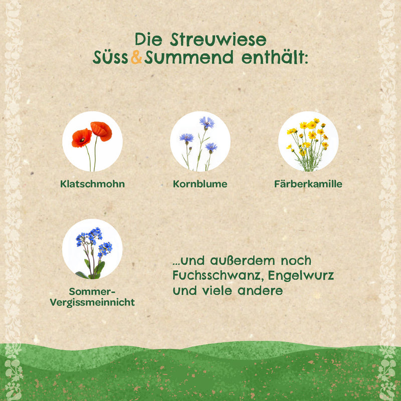 Streuwiese „Süß & Summend“ Wildblumen-Saatgut für Bienen und Insekten — Ansicht 3