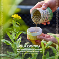 Streuwiese „Süß & Summend“ Wildblumen-Saatgut für Bienen und Insekten — Ansicht 6