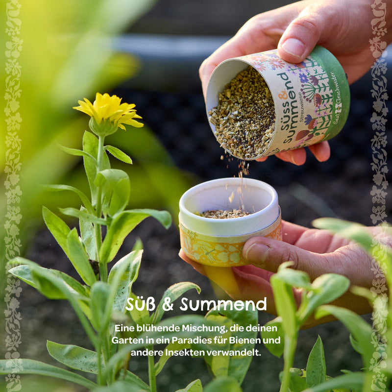 Streuwiese „Süß & Summend“ Wildblumen-Saatgut für Bienen und Insekten — Ansicht 6