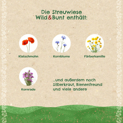 Streuwiese „Wild & Bunt“ – Wildblumen-Saatgut mit Bodenverbesserer