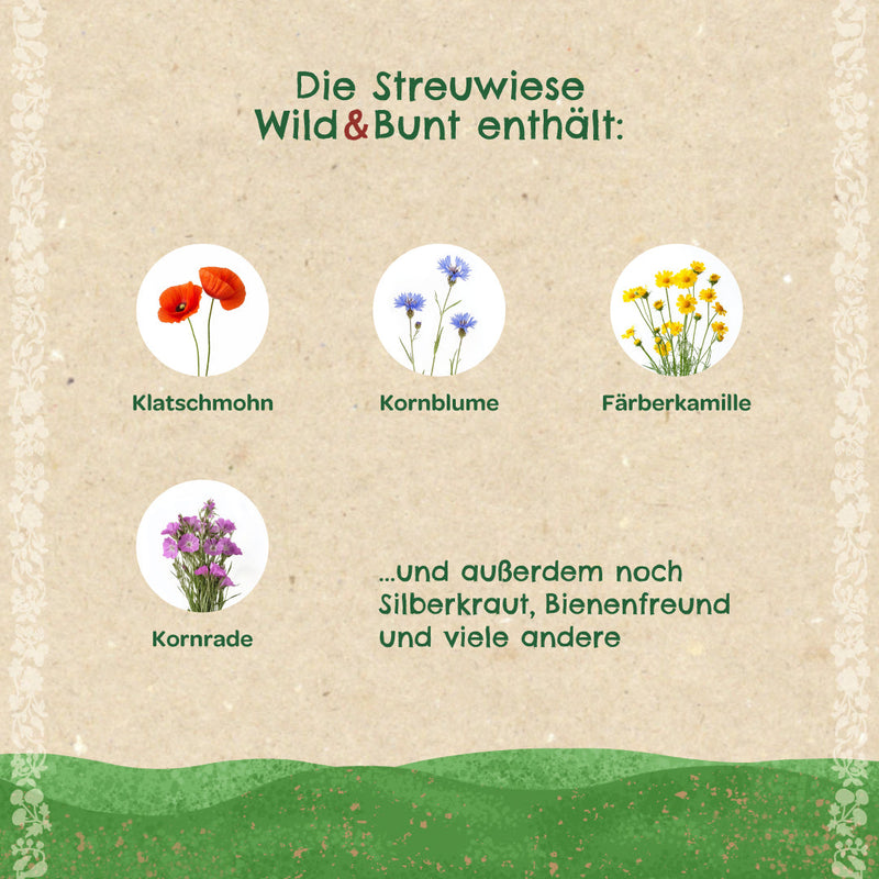 Streuwiese „Wild & Bunt“ – Wildblumen-Saatgut mit Bodenverbesserer — Ansicht 3
