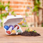 6 colorful Easter flowers - flower marbles in an egg carton