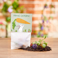 10x5 Flower Seed Bombs in a "Bunny with Carrots" Bag - Wildflower Seeds for Gifting — Ansicht 1